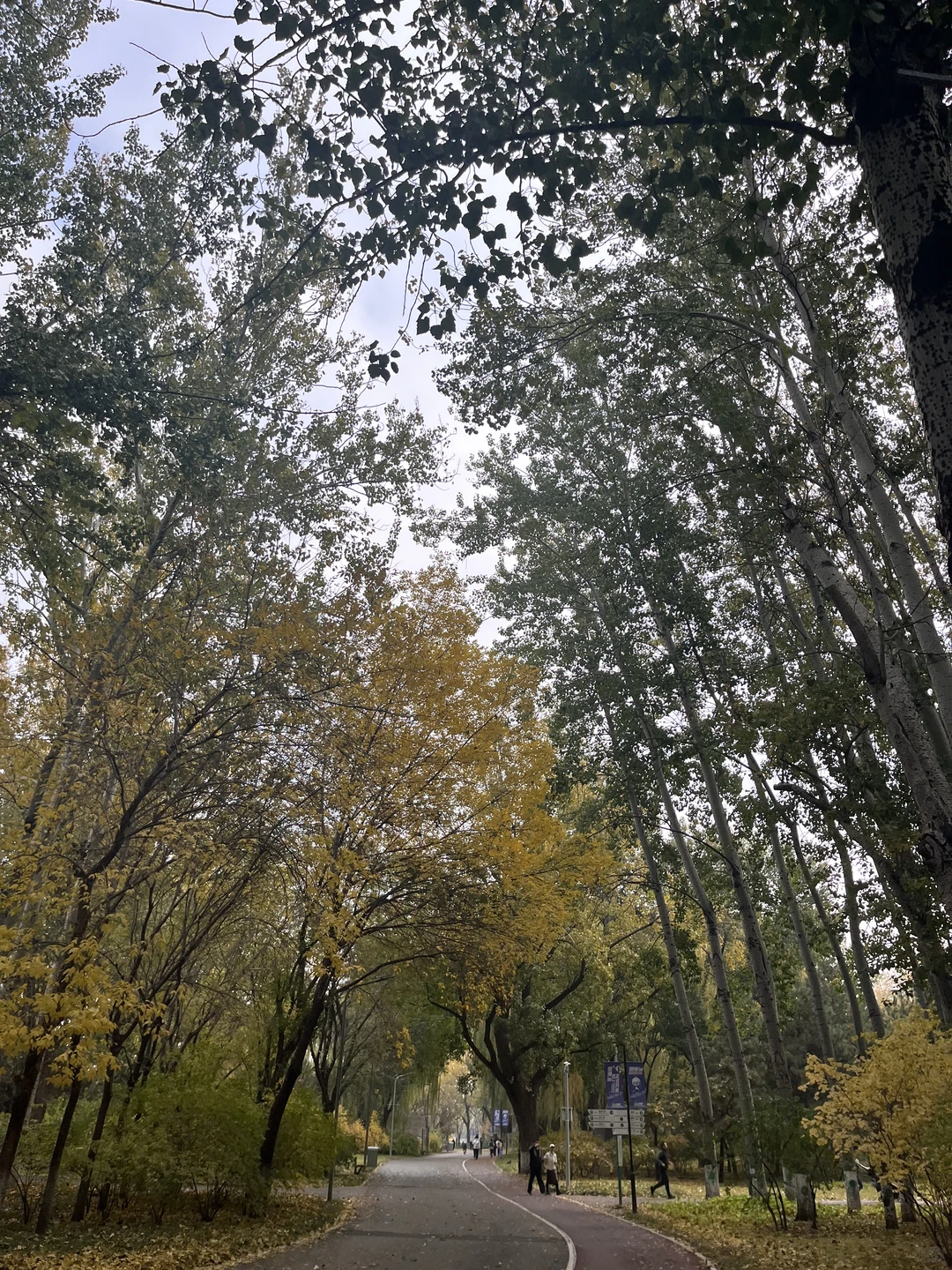 35岁，就这样“剩”下了