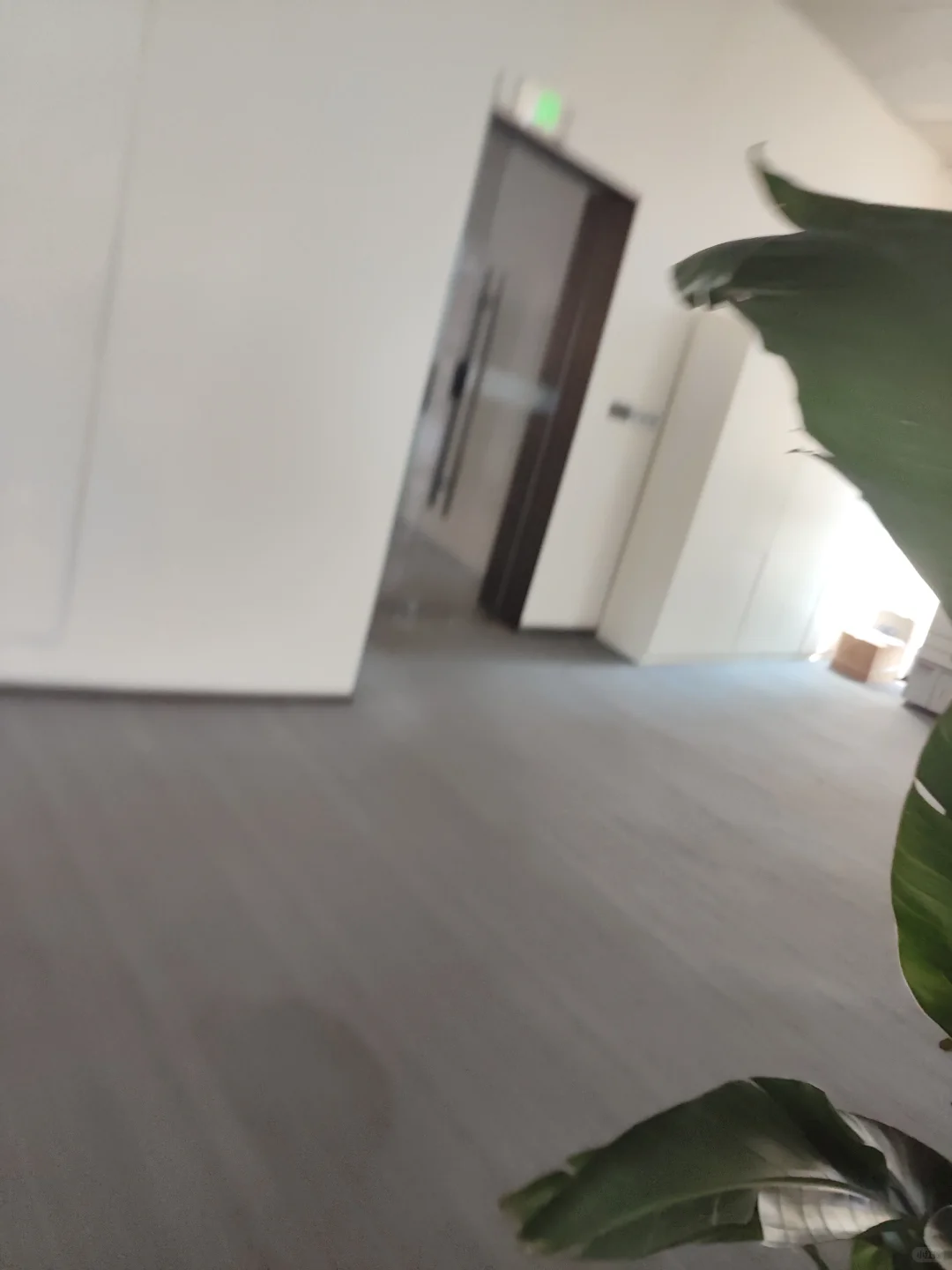 ❗️刺激 “跟踪”卉森同事的一天