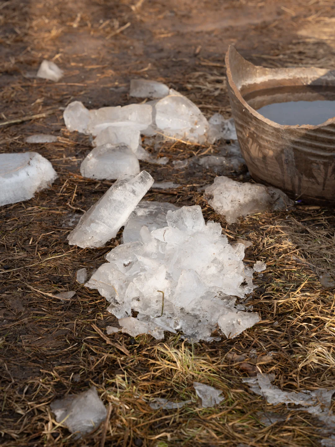 这里什么都不会发生