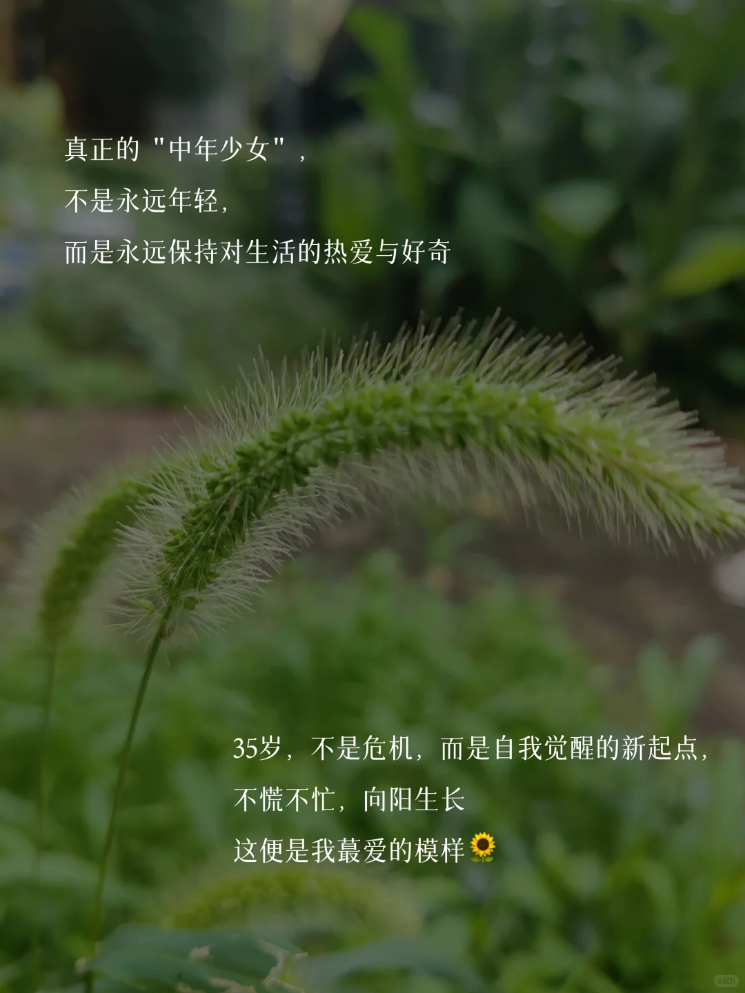 35岁，做一个心态很绝的中年少女