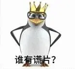 企鹅表情包｜已找到片