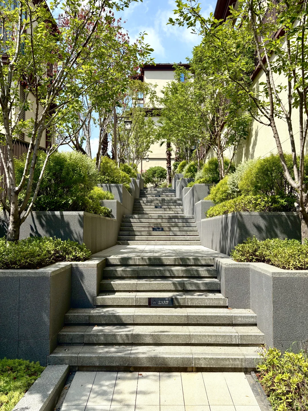 ❗️刺激 “跟踪”卉森同事的一天