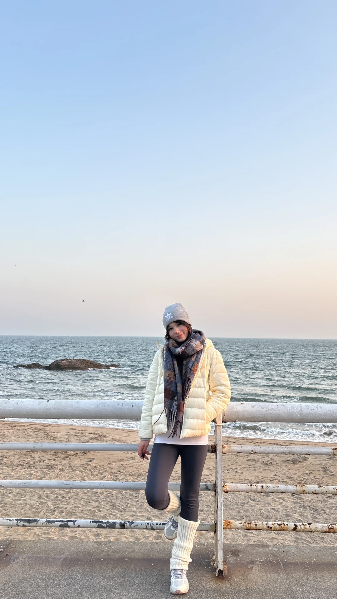 冬日海边喂鸥记