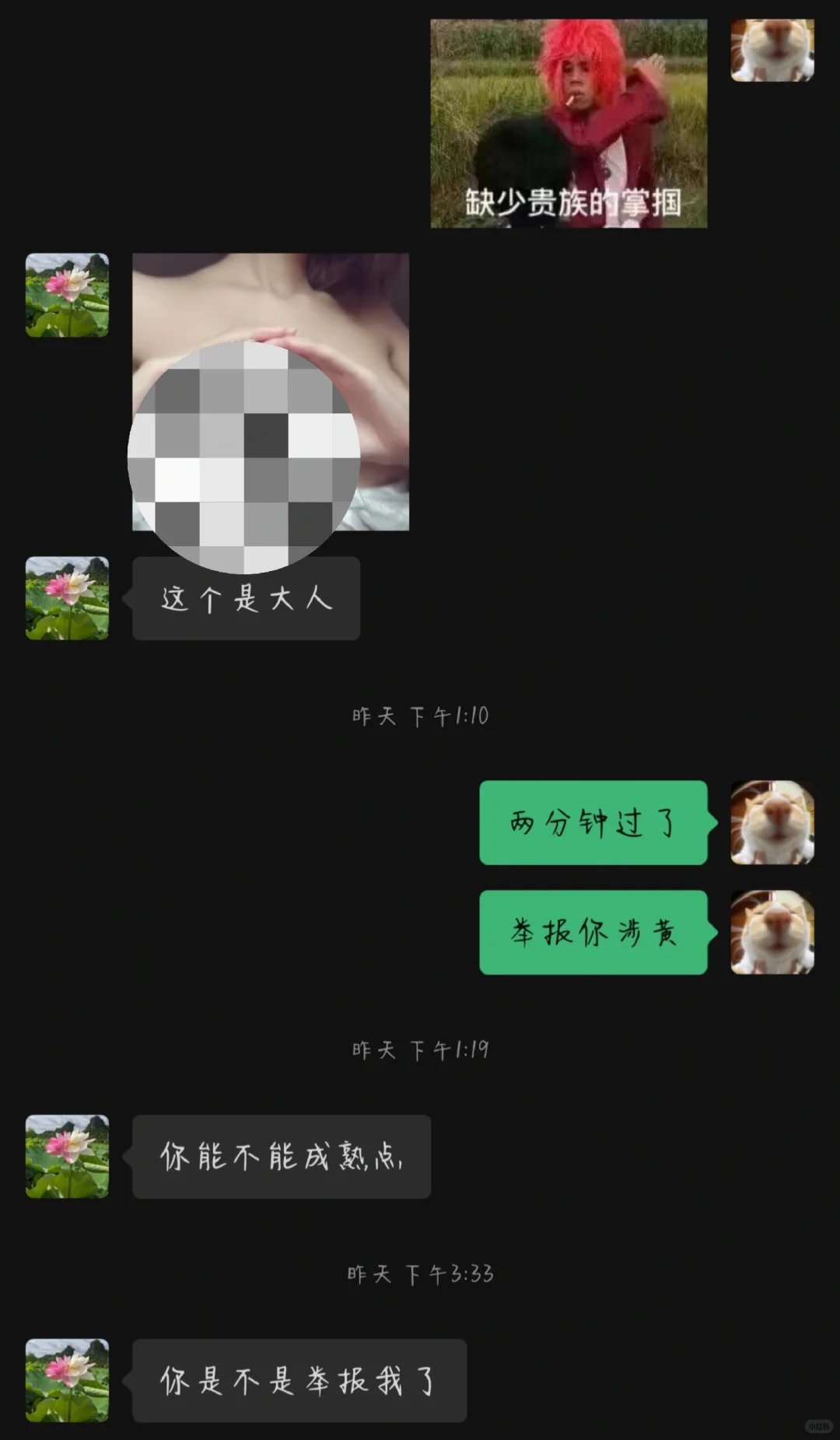 发💛图被举报恼羞成怒反追着我杀