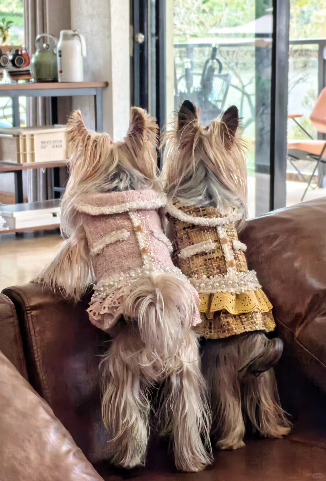 温暖牌小香风衣服，帮宝宝们实现穿衣自由6