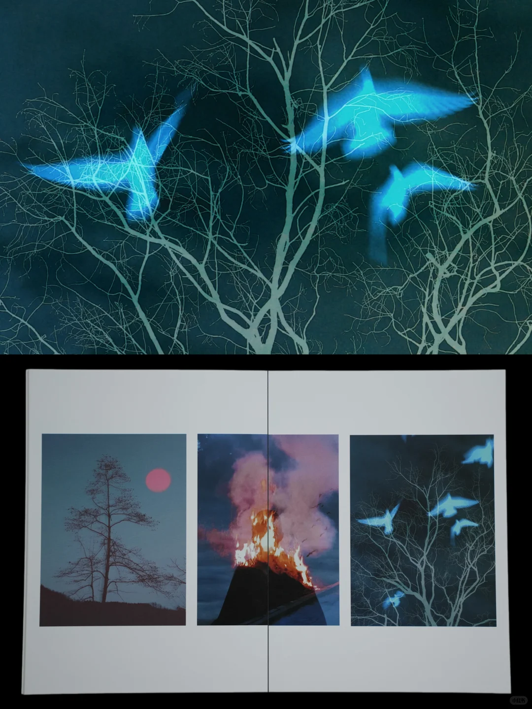 我的第一本摄影集｜在我的想象中