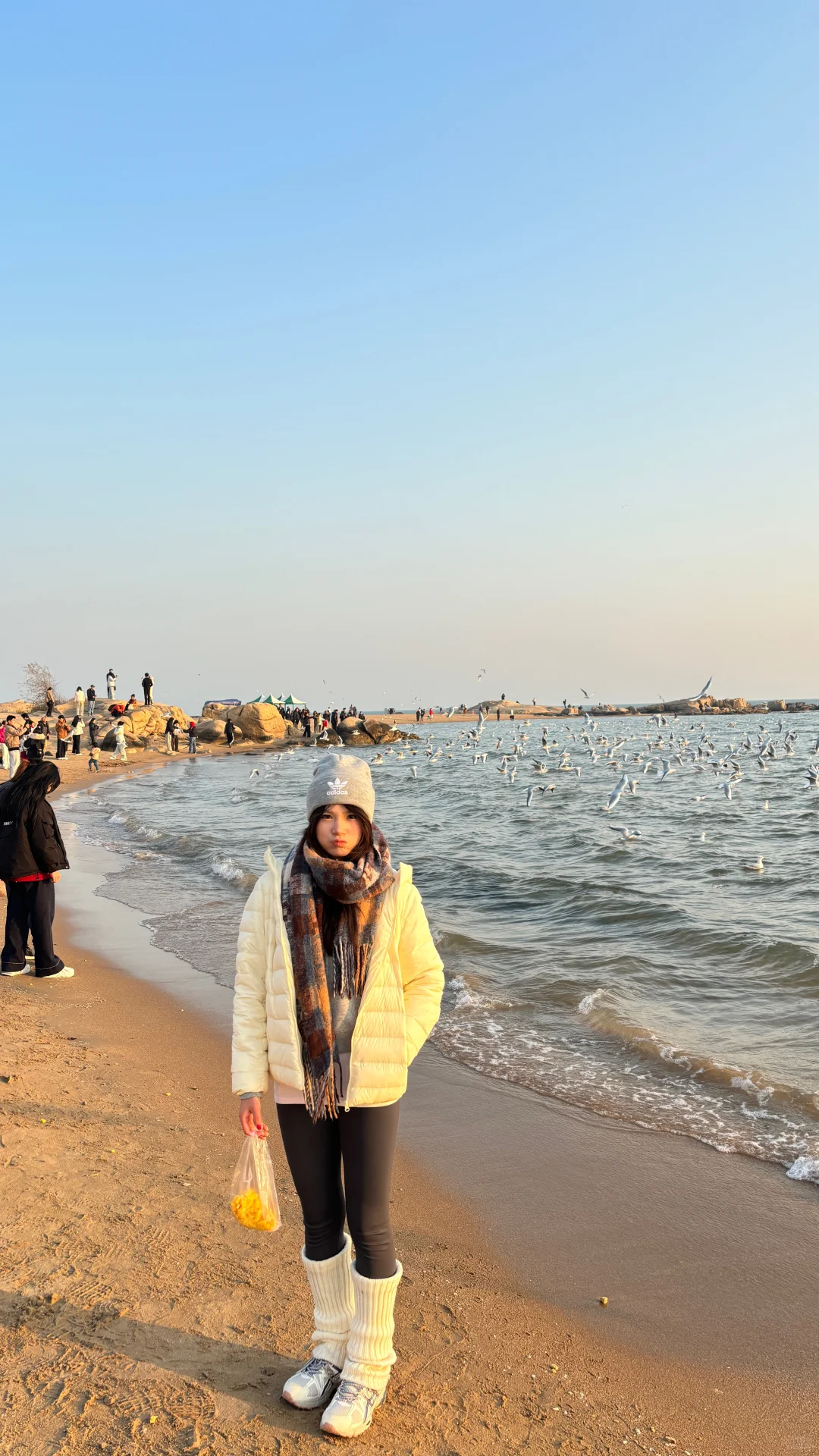 冬日海边喂鸥记