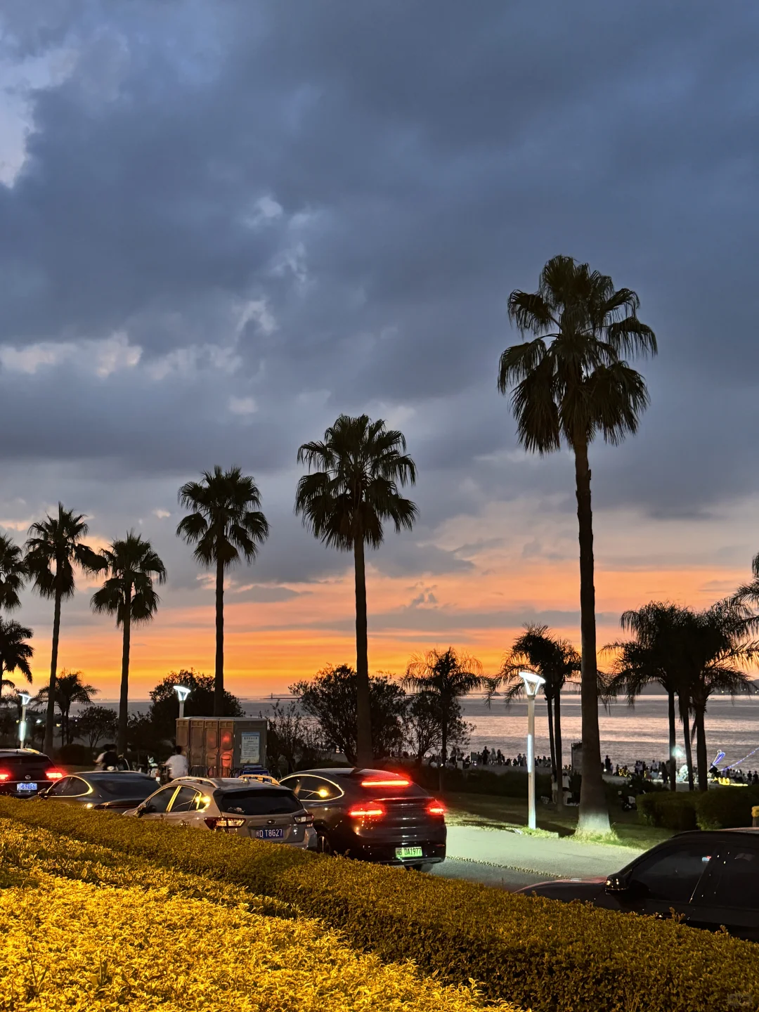 厦门｜椰风寨 The Orange Moment 🐚🧡