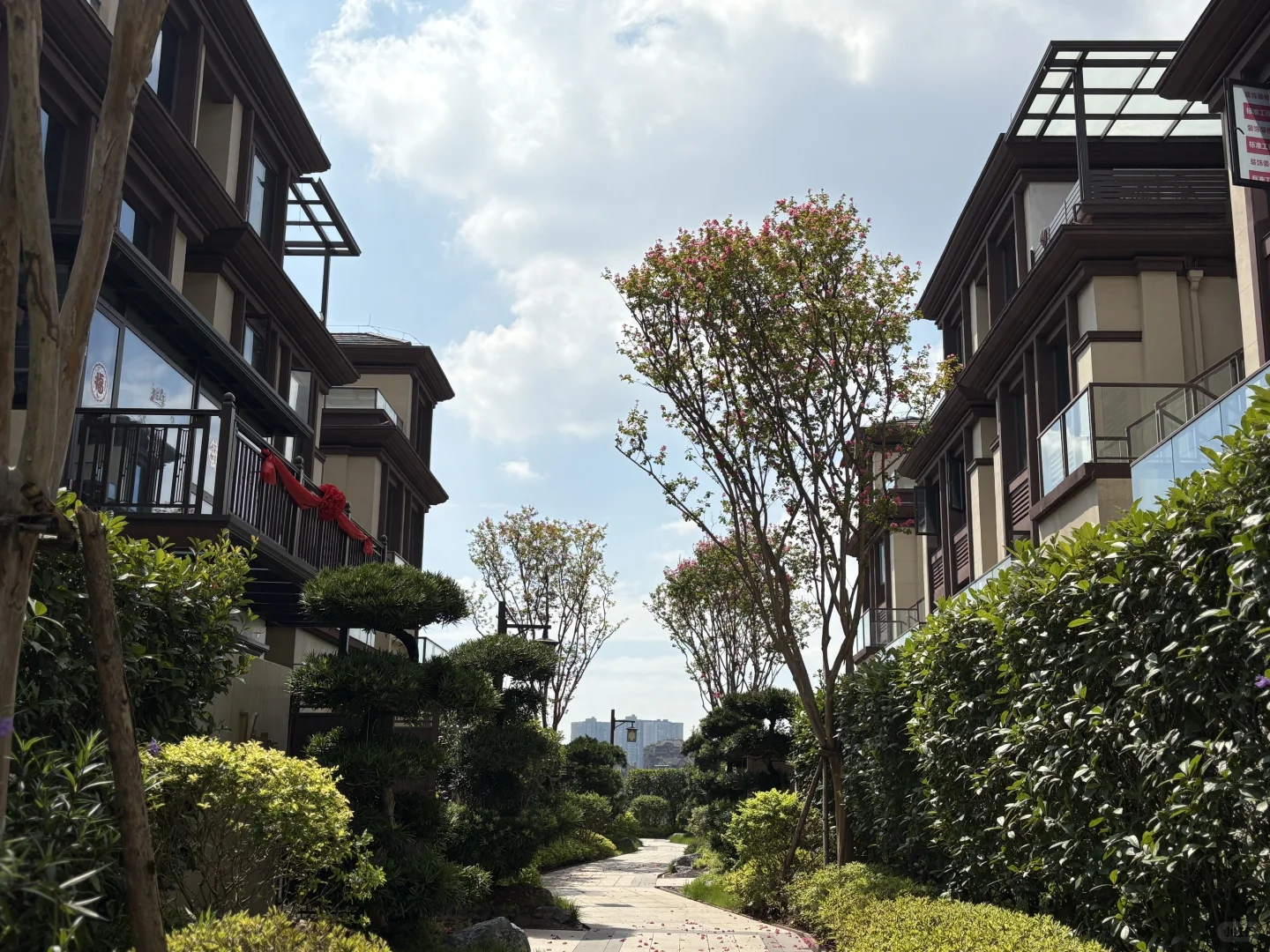 ❗️刺激 “跟踪”卉森同事的一天