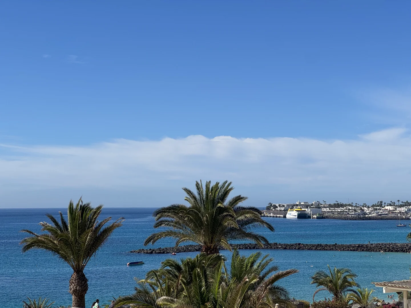 £5全款拿下SHEIN泳衣 细糠live🤫