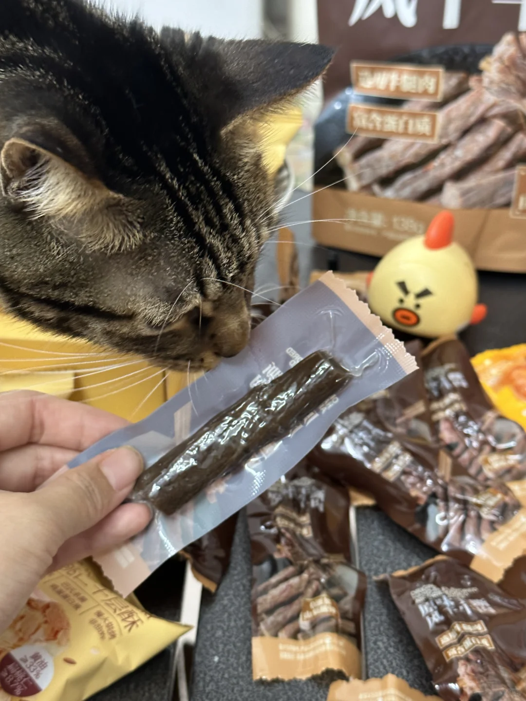 小象健康零食推荐，越吃越快乐