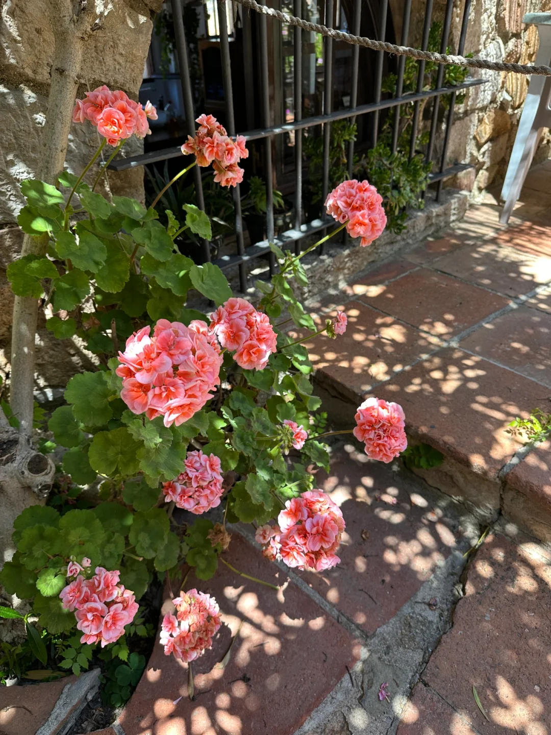 tossa🇪🇸在小镇的夏天