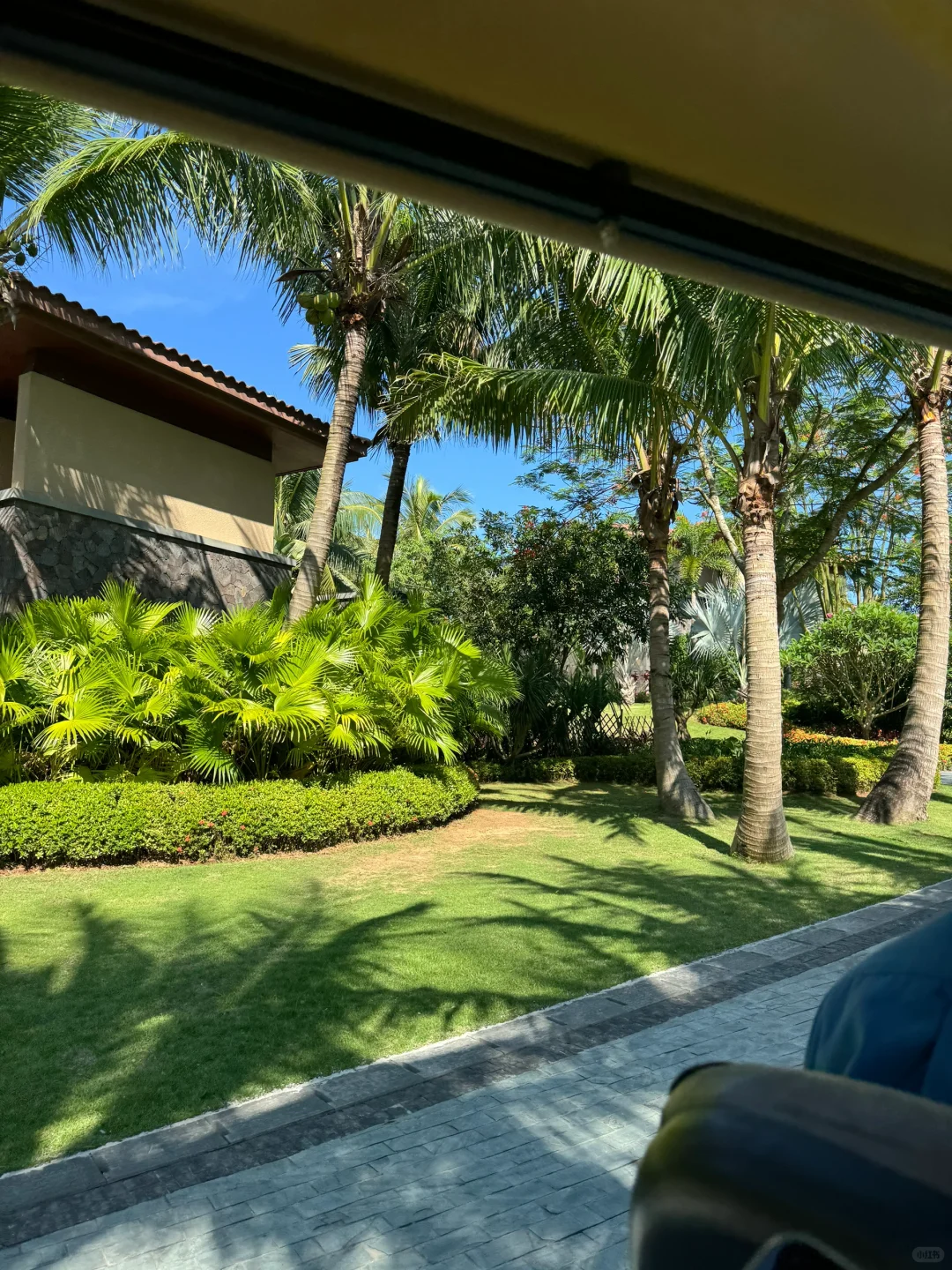 穿梭在热带雨林🌴