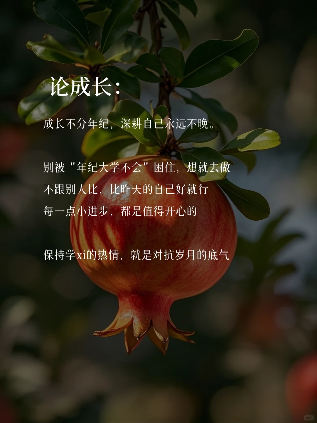 35岁，做一个心态很绝的中年少女