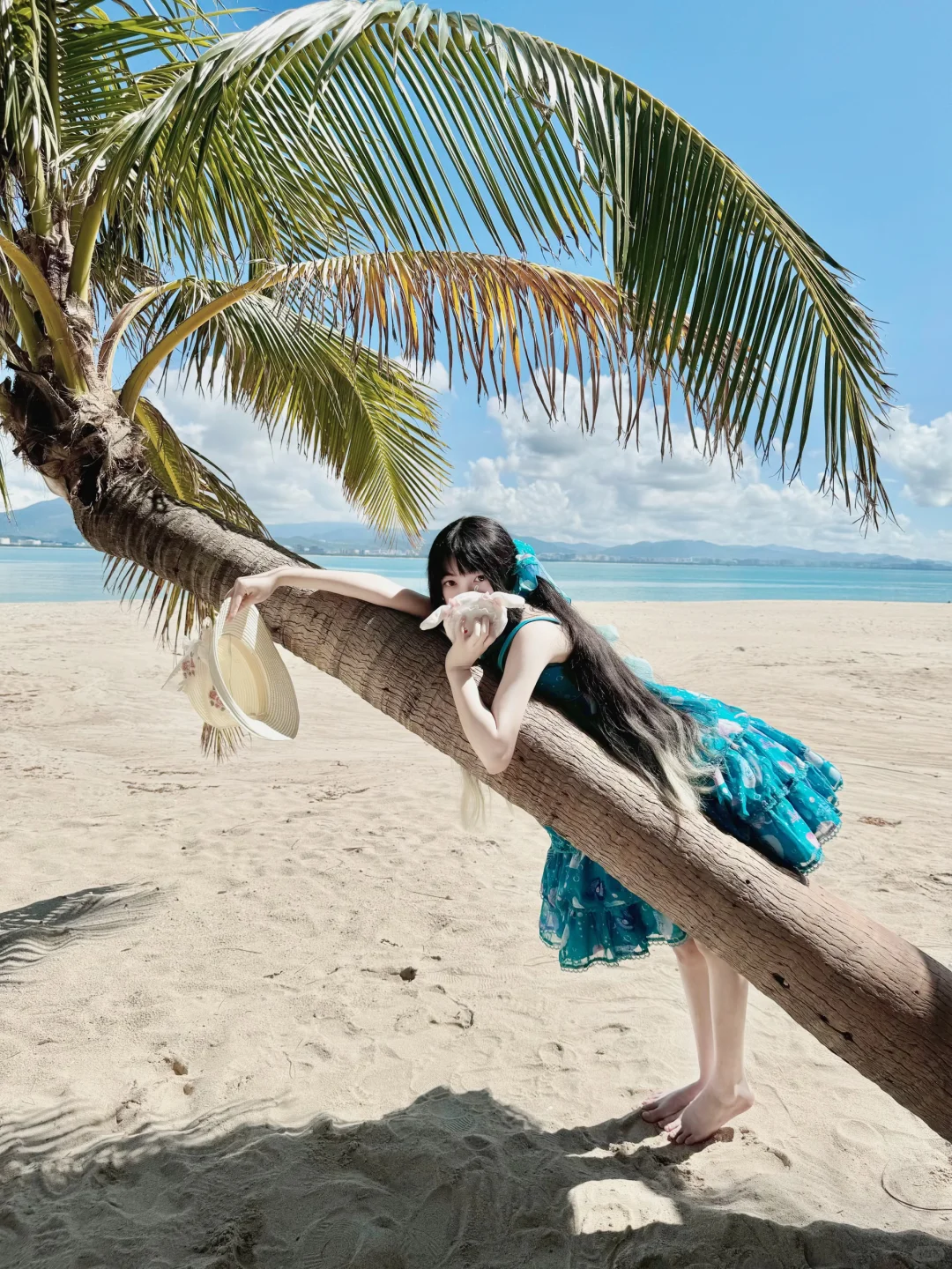 绿贝壳在海边度假这一块/.