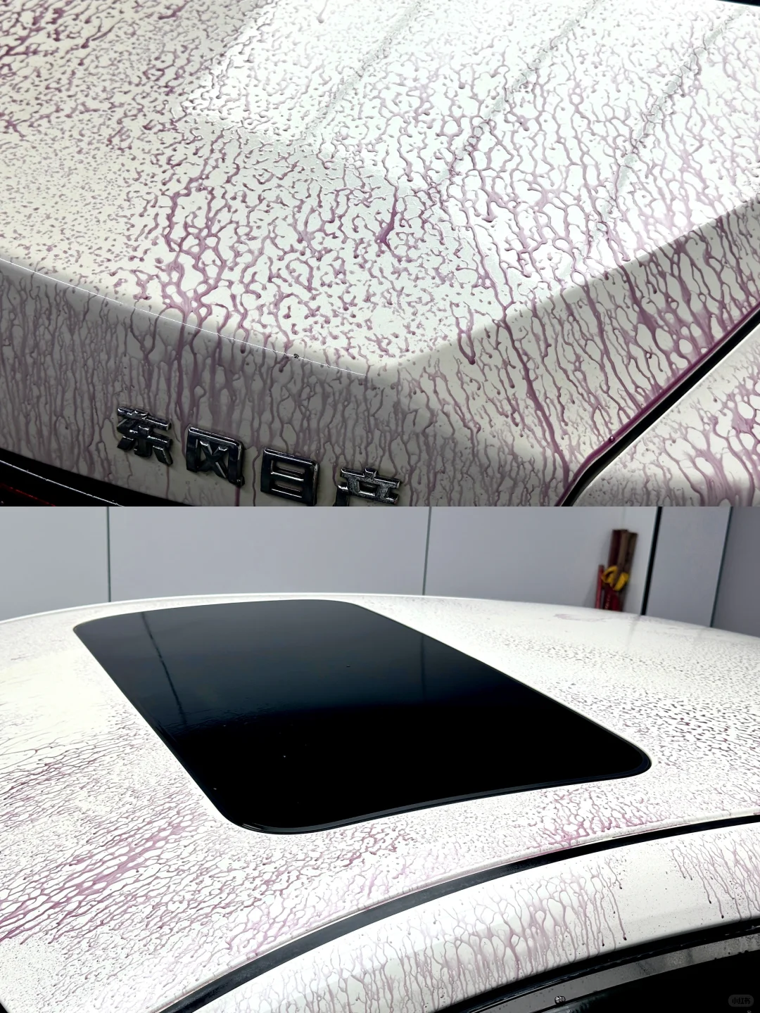 看看你的车有没有