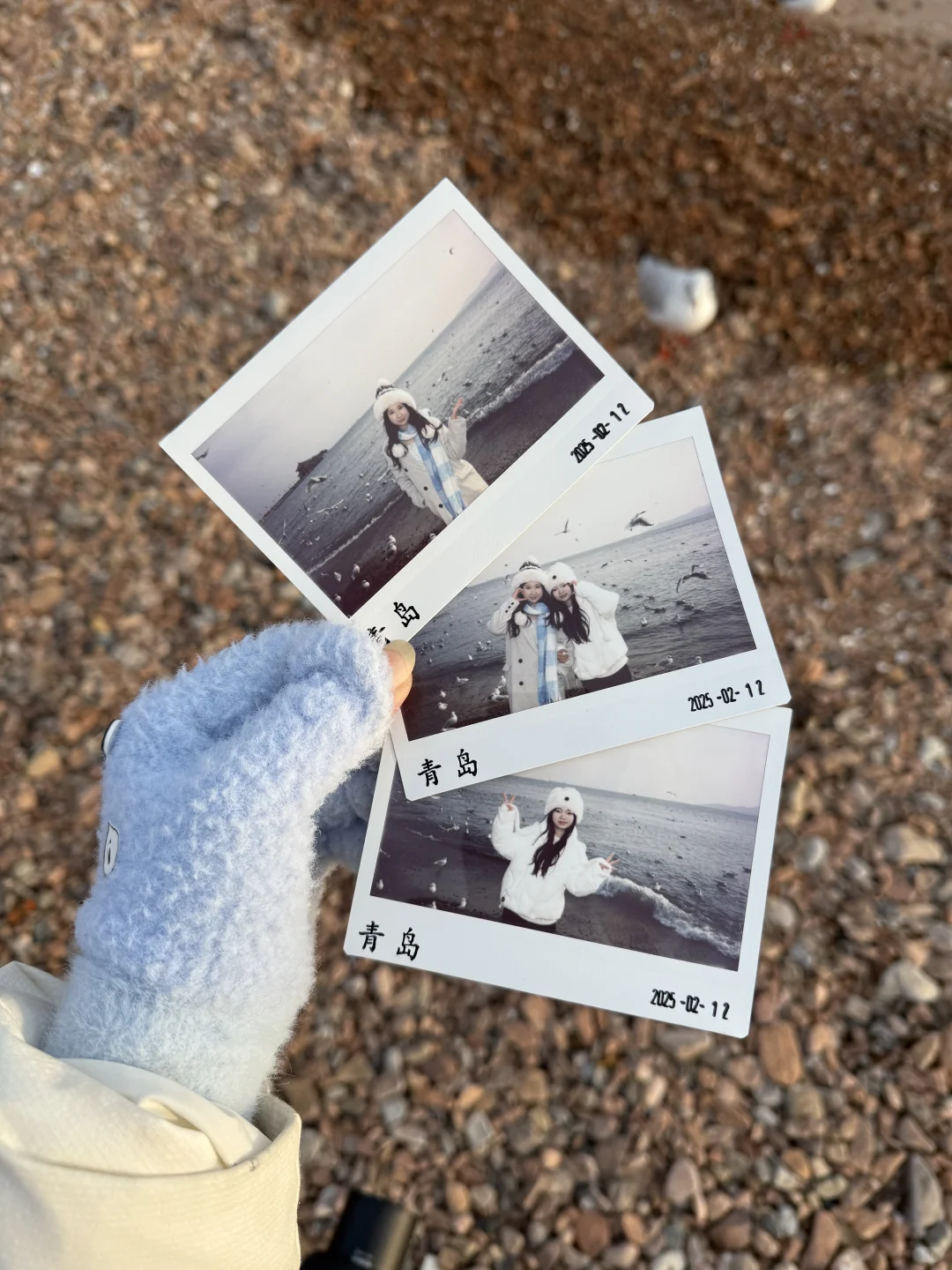 青岛栈桥拍照都来找这个小姐姐～超好看❗️