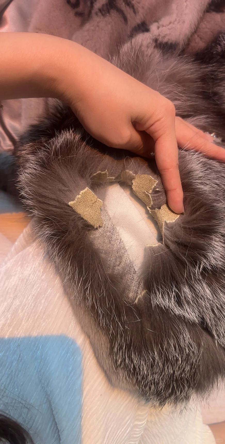 辛巴辛选售卖的貂皮质量差 用的老旧拼皮