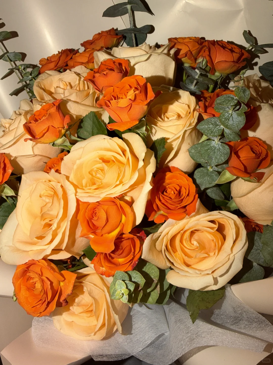 纪念每一个死去又鲜活的夏天