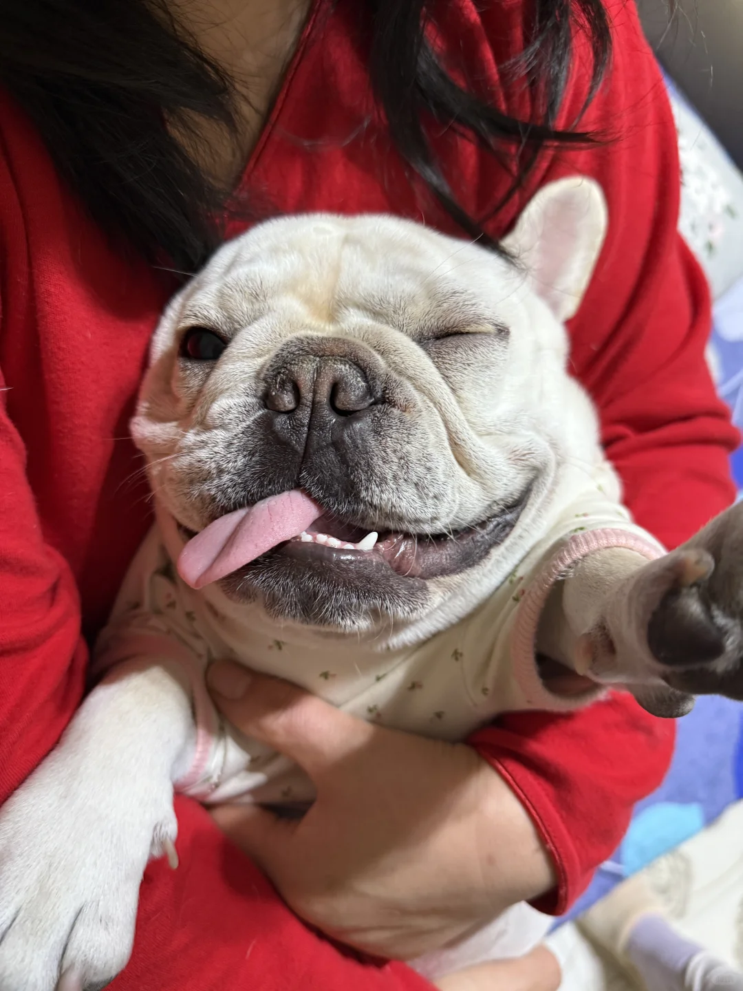 进来看胖宝宝抛媚眼