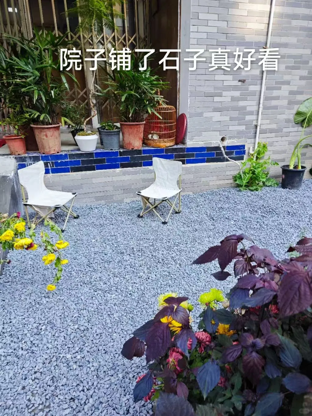 武汉金银湖自习室带院子撸猫读书🉑太爽了