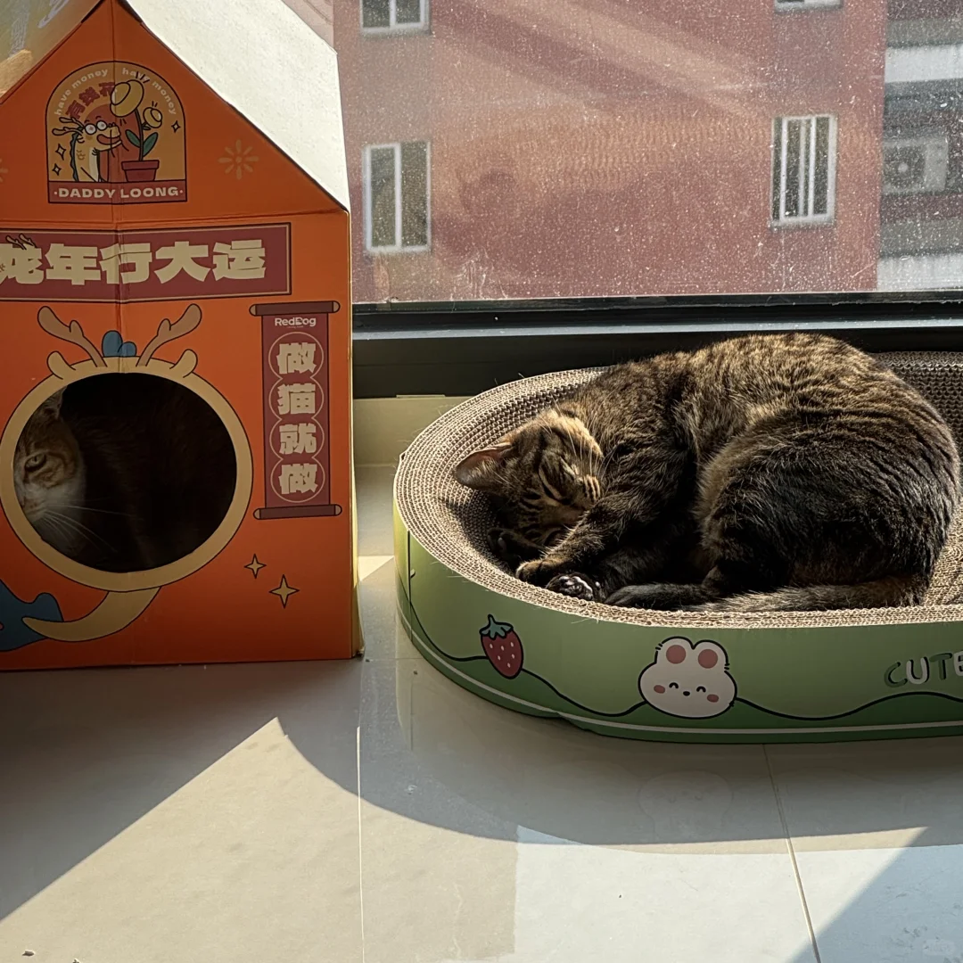 左滑看明教为何瘫倒在天策脚下！