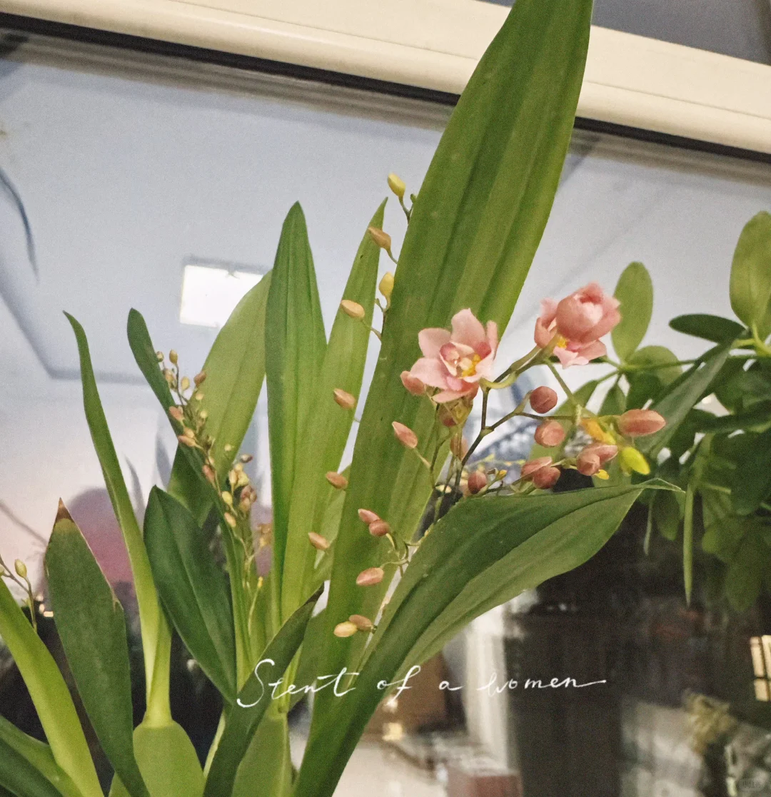 收到「压坏的」花花实体专——量变临界点getcha