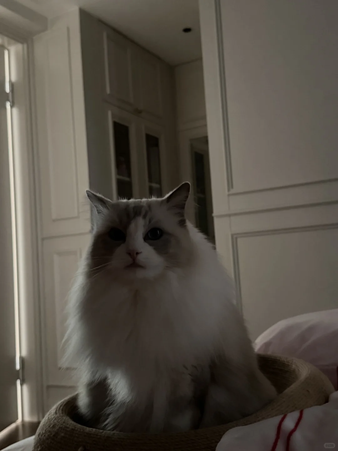 起床一睁眼 什么东西