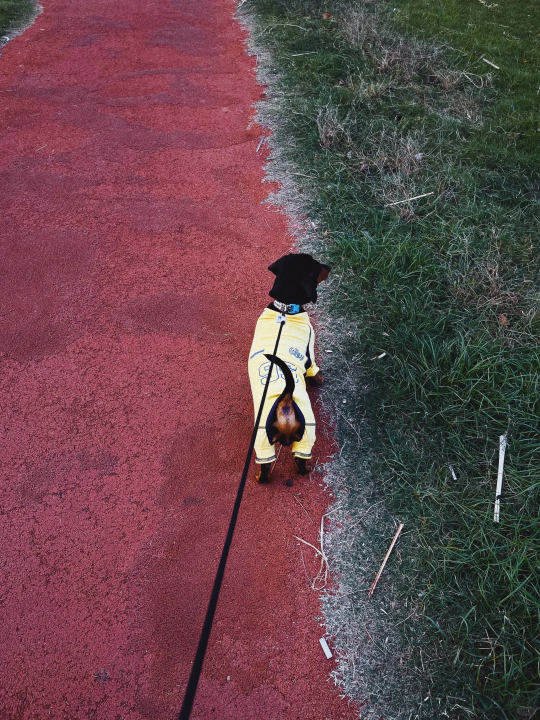 黄色娇艳，连体修身