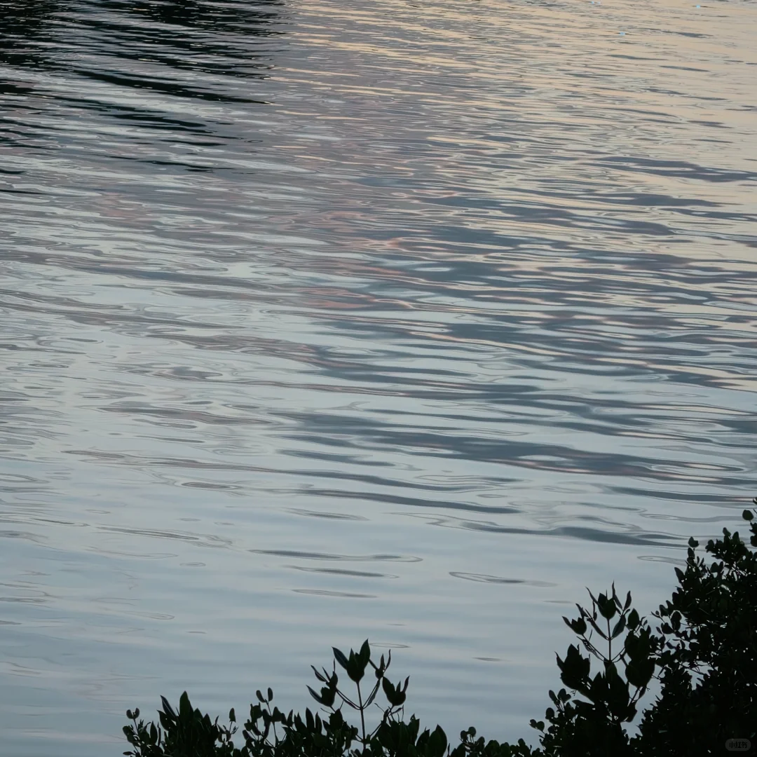 秋日里的咸蛋黄🌇