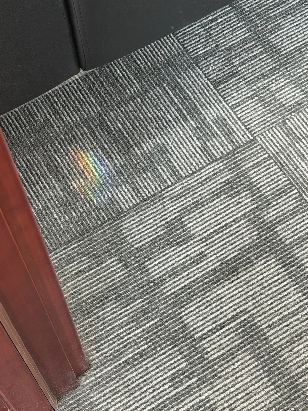 纪念每一个死去又鲜活的夏天