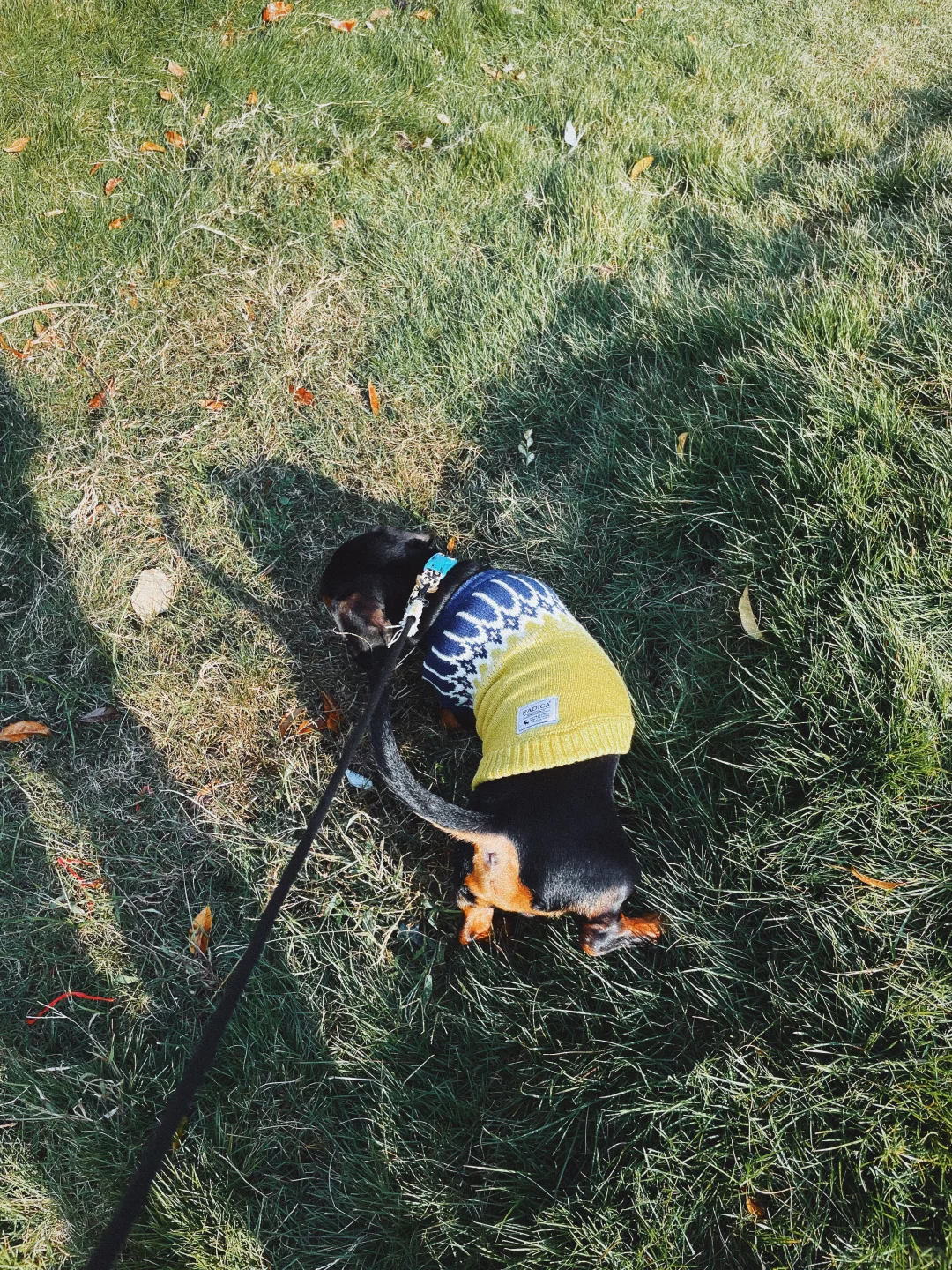 黄色娇艳，连体修身