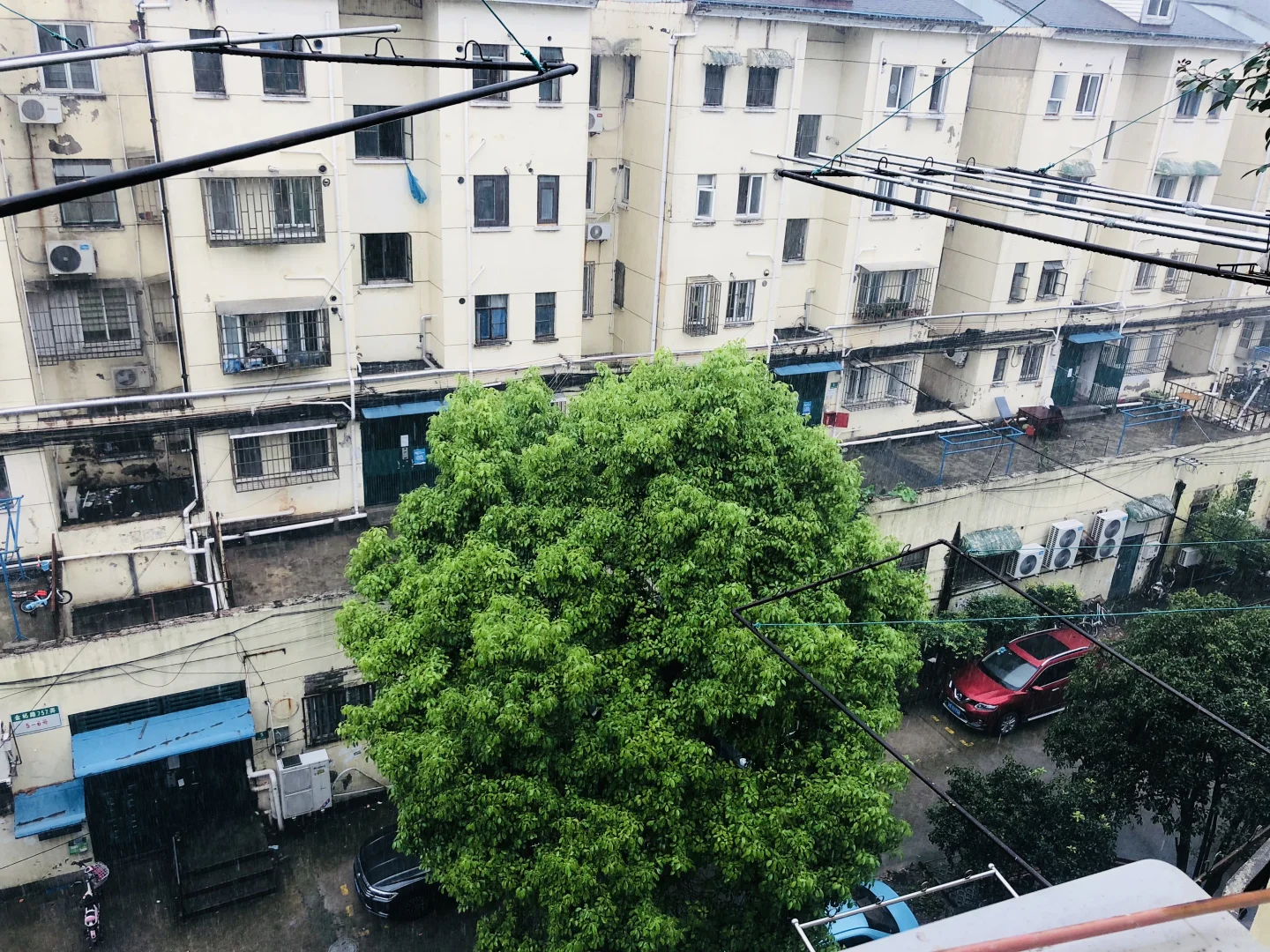 纪念每一个死去又鲜活的夏天