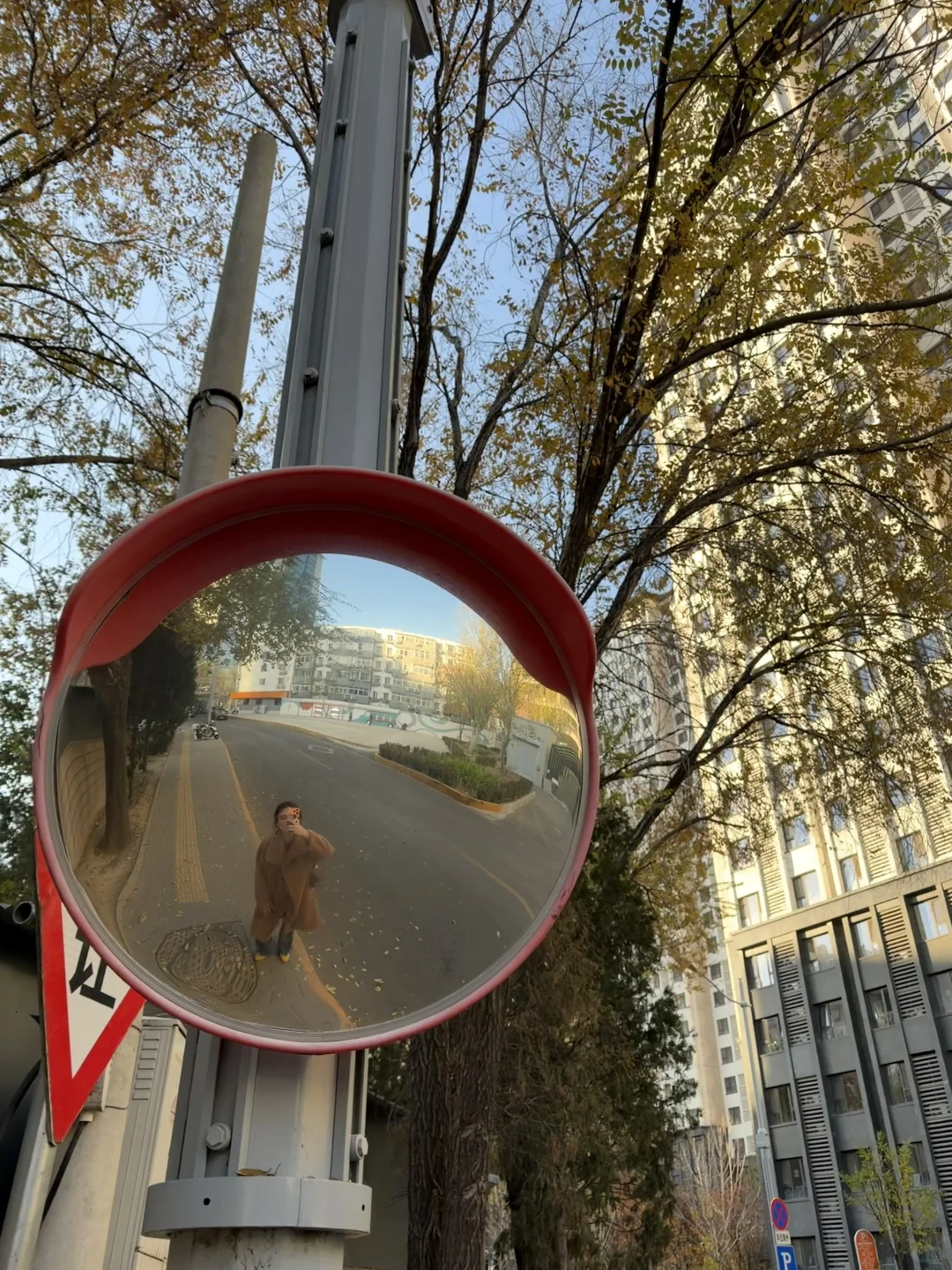 纪念每一个死去又鲜活的夏天