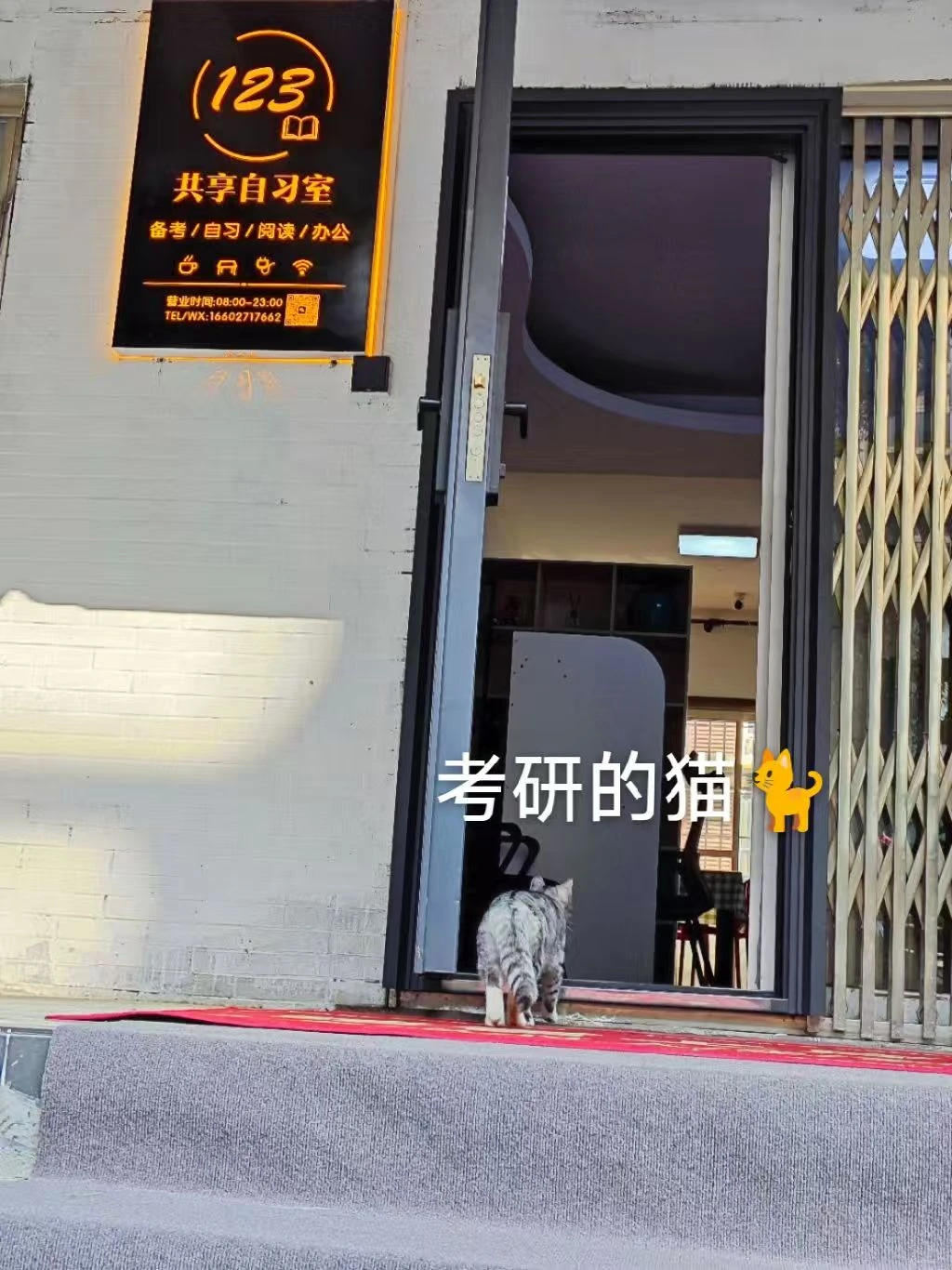 武汉金银湖自习室带院子撸猫读书🉑太爽了