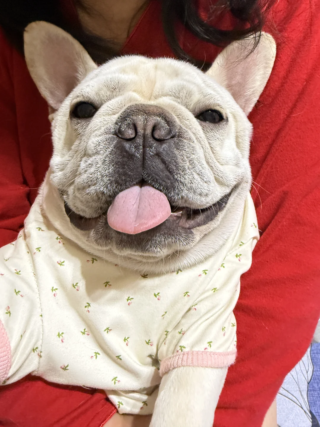 进来看胖宝宝抛媚眼