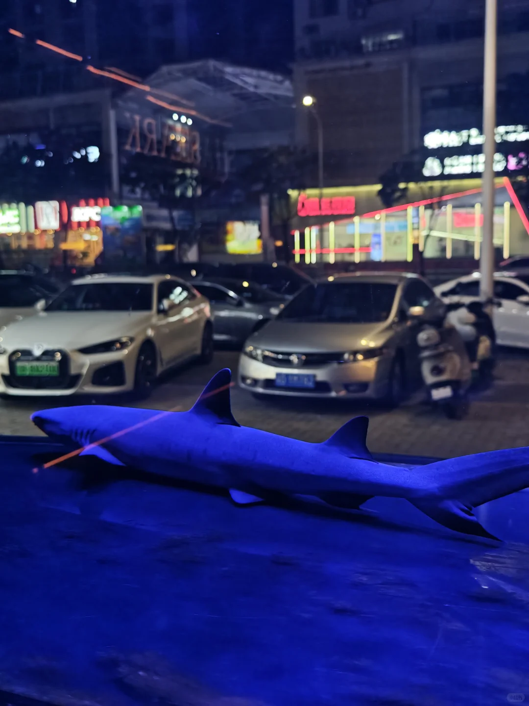 汕头夜生活新地标｜在鲨鱼面前吃刺身喝酒