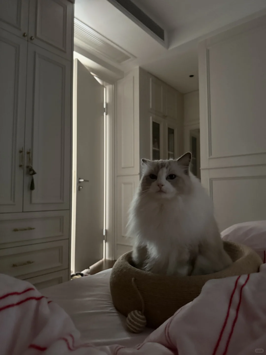 起床一睁眼 什么东西