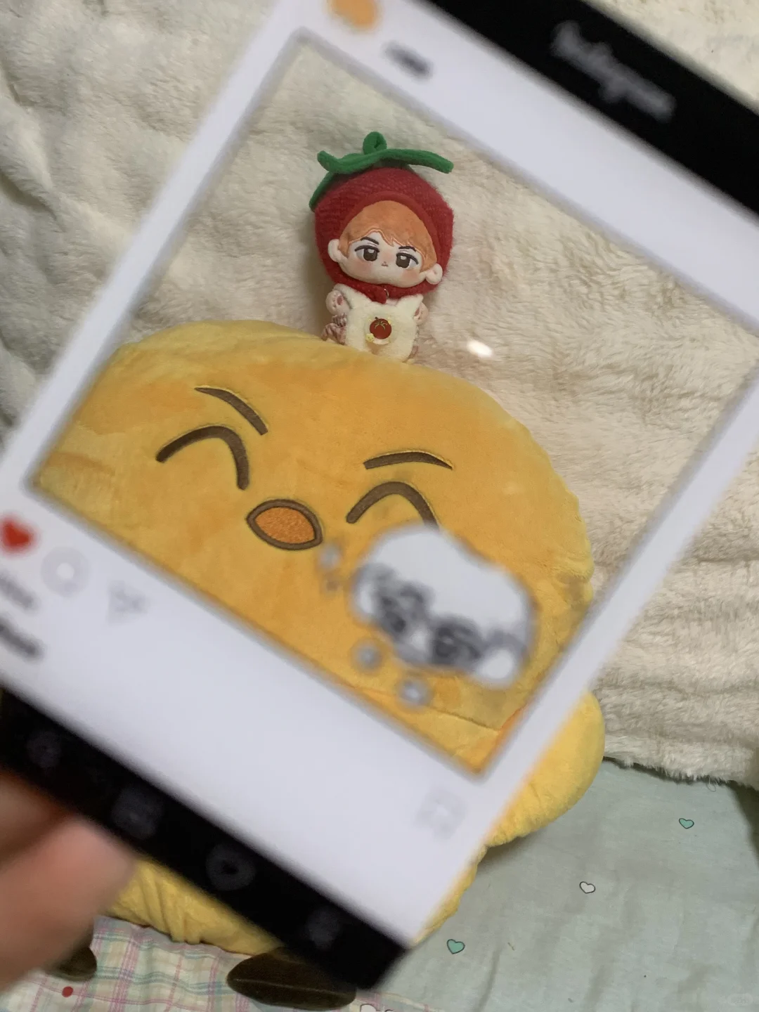 猫子 你也很喜欢我们勋柑吧