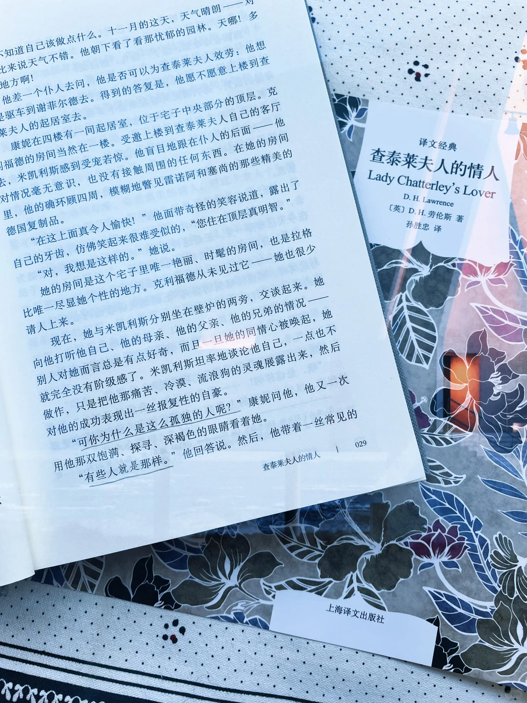 哦，这该死的…情欲…这纷纷的情欲…