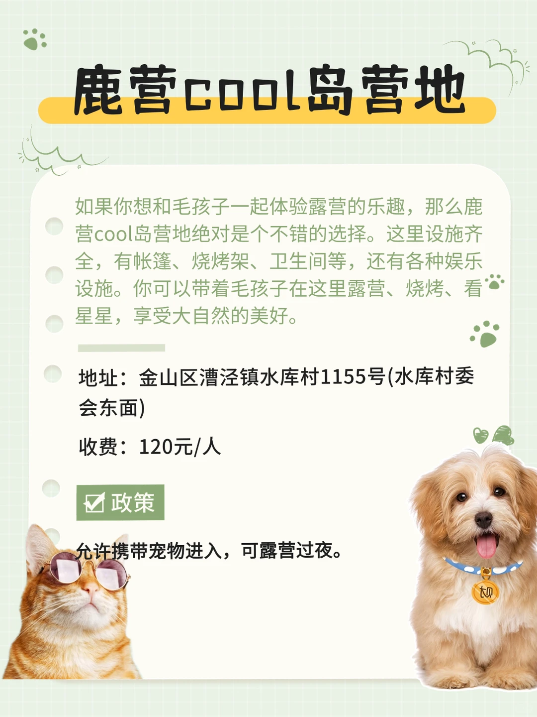 上海金山区宠物友好地图