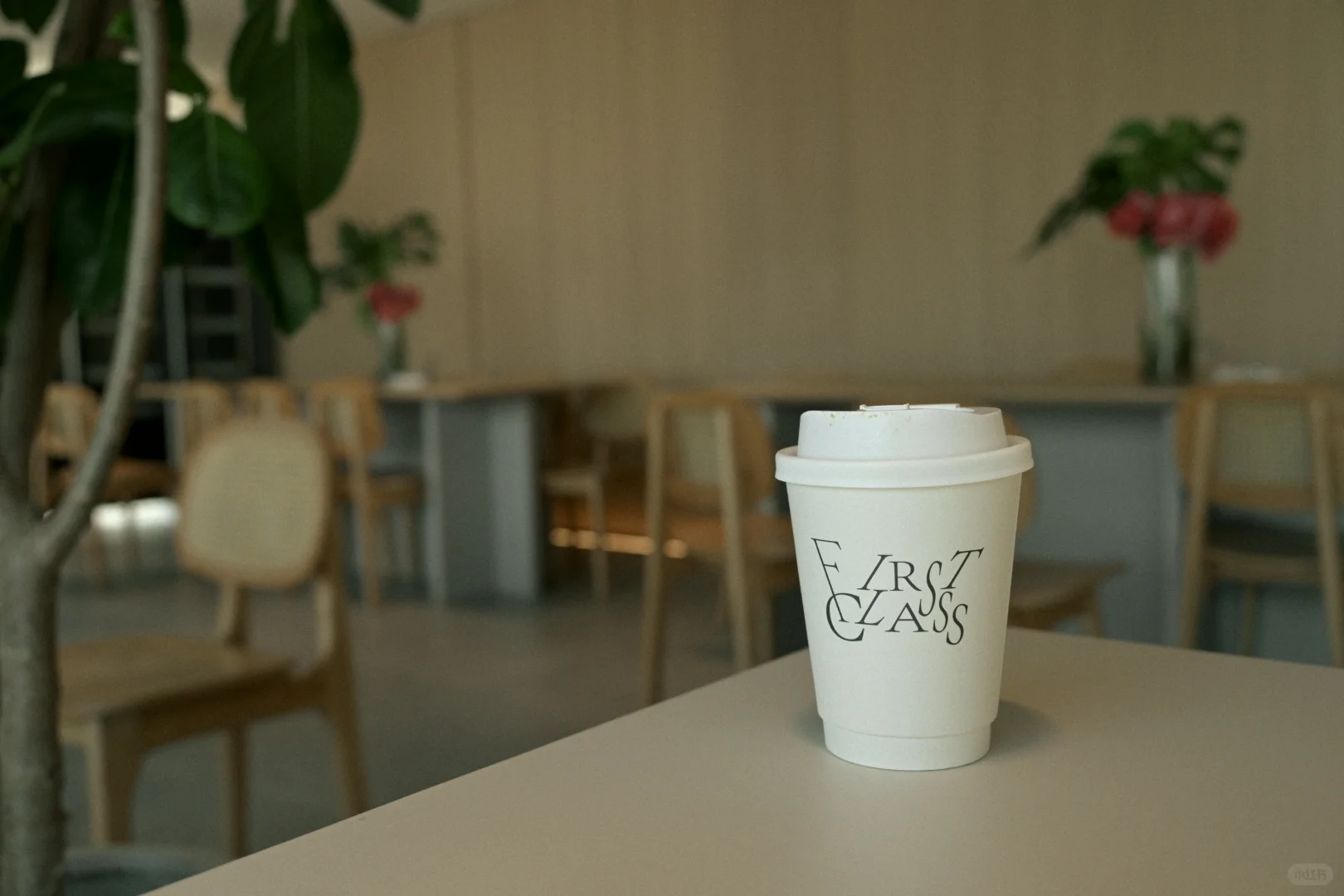 胶片里的咖啡馆🎞️Zf的胶片氛围感