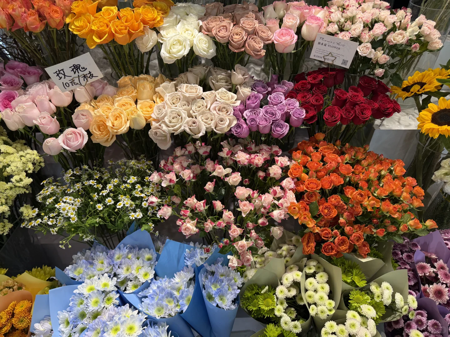 纪念每一个死去又鲜活的夏天