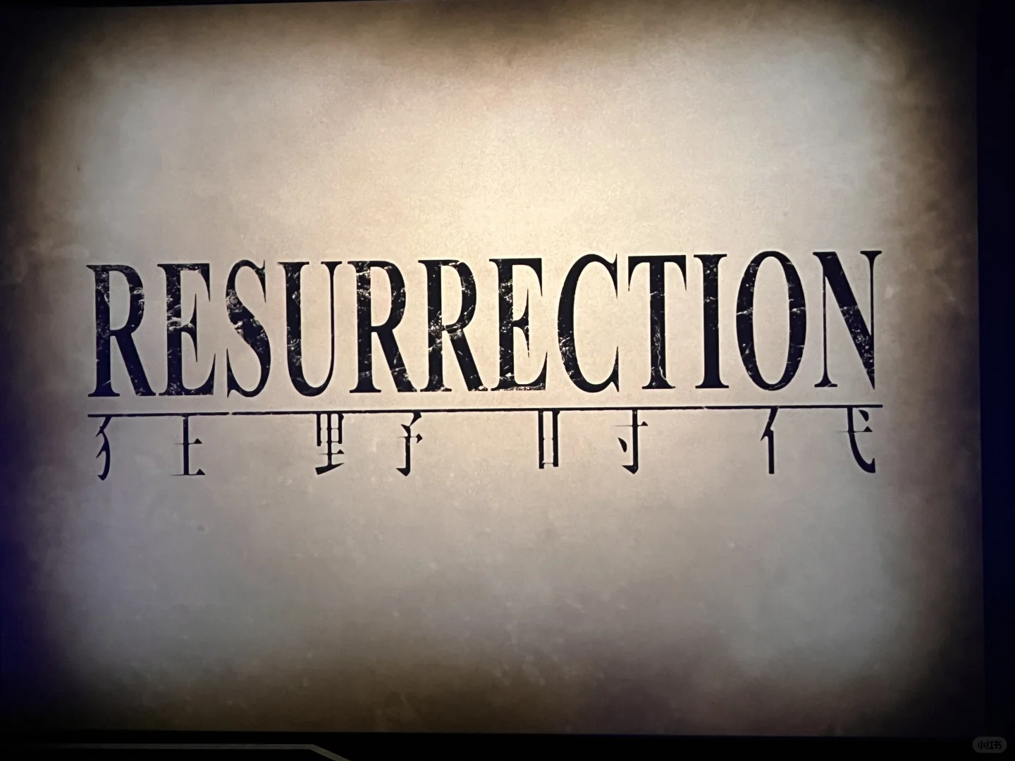 看完狂野时代天塌了