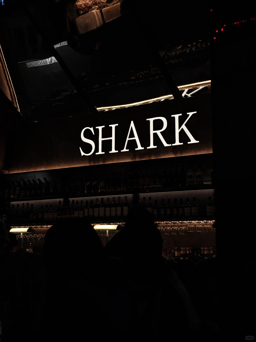汕头夜生活新地标｜在鲨鱼面前吃刺身喝酒