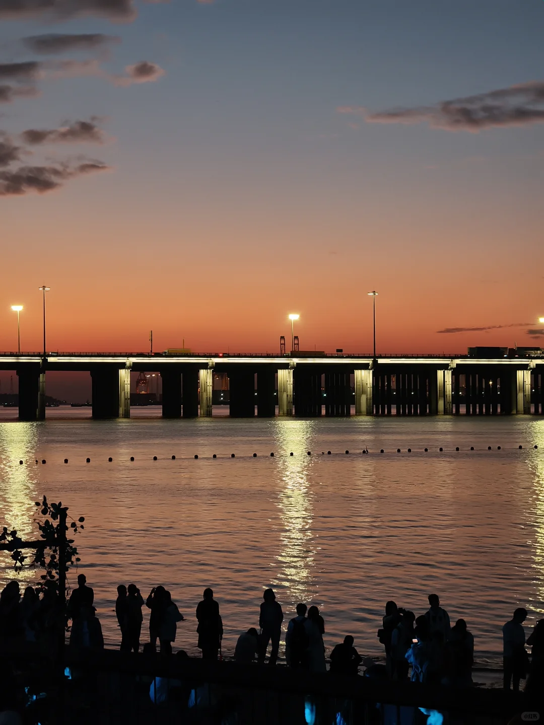 秋日里的咸蛋黄🌇