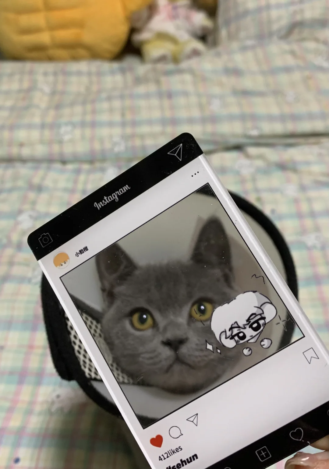 猫子 你也很喜欢我们勋柑吧