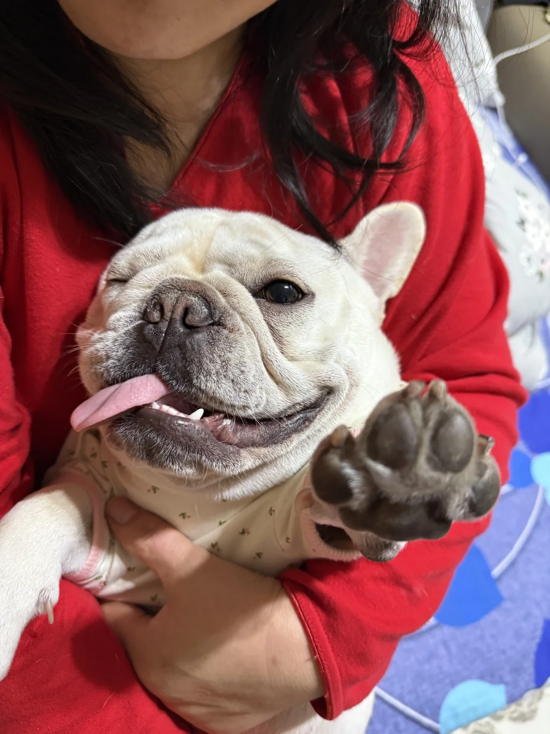 进来看胖宝宝抛媚眼