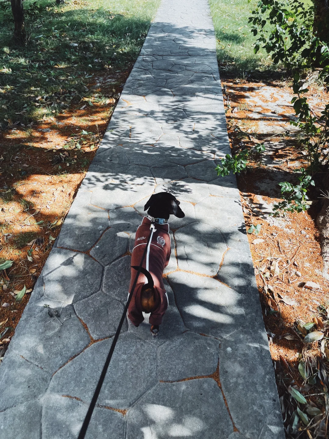 黄色娇艳，连体修身