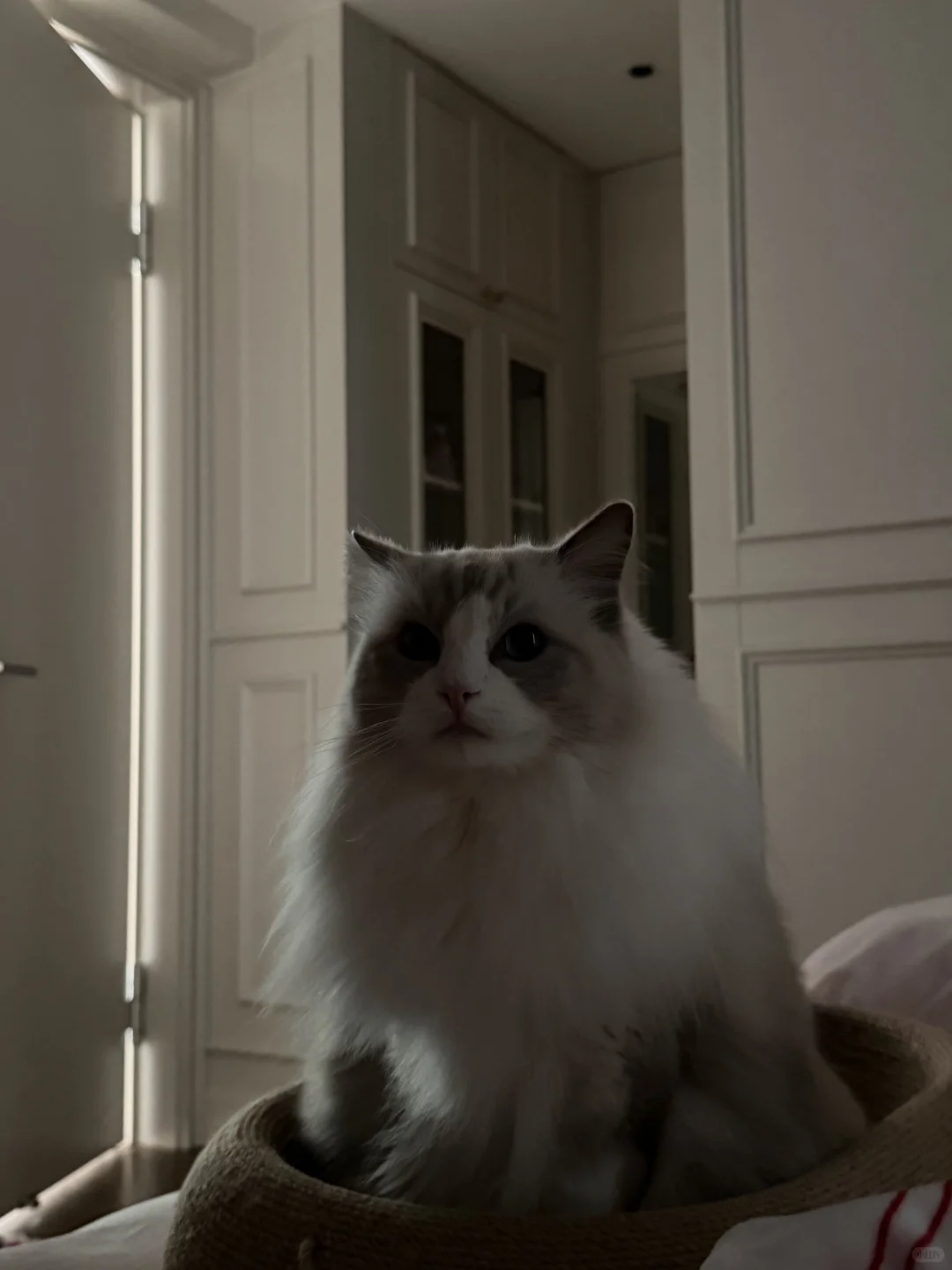 起床一睁眼 什么东西